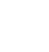 Logistica Torres S.A. de C.V.